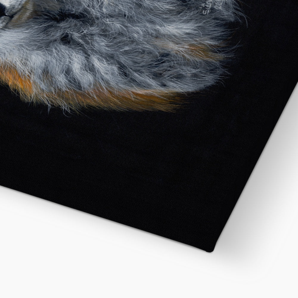 Red Fox Canvas