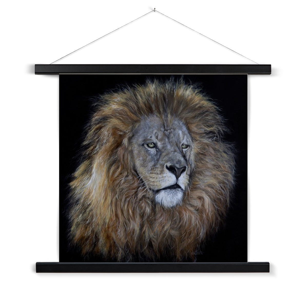 African Lion Fine Art Print with Hanger