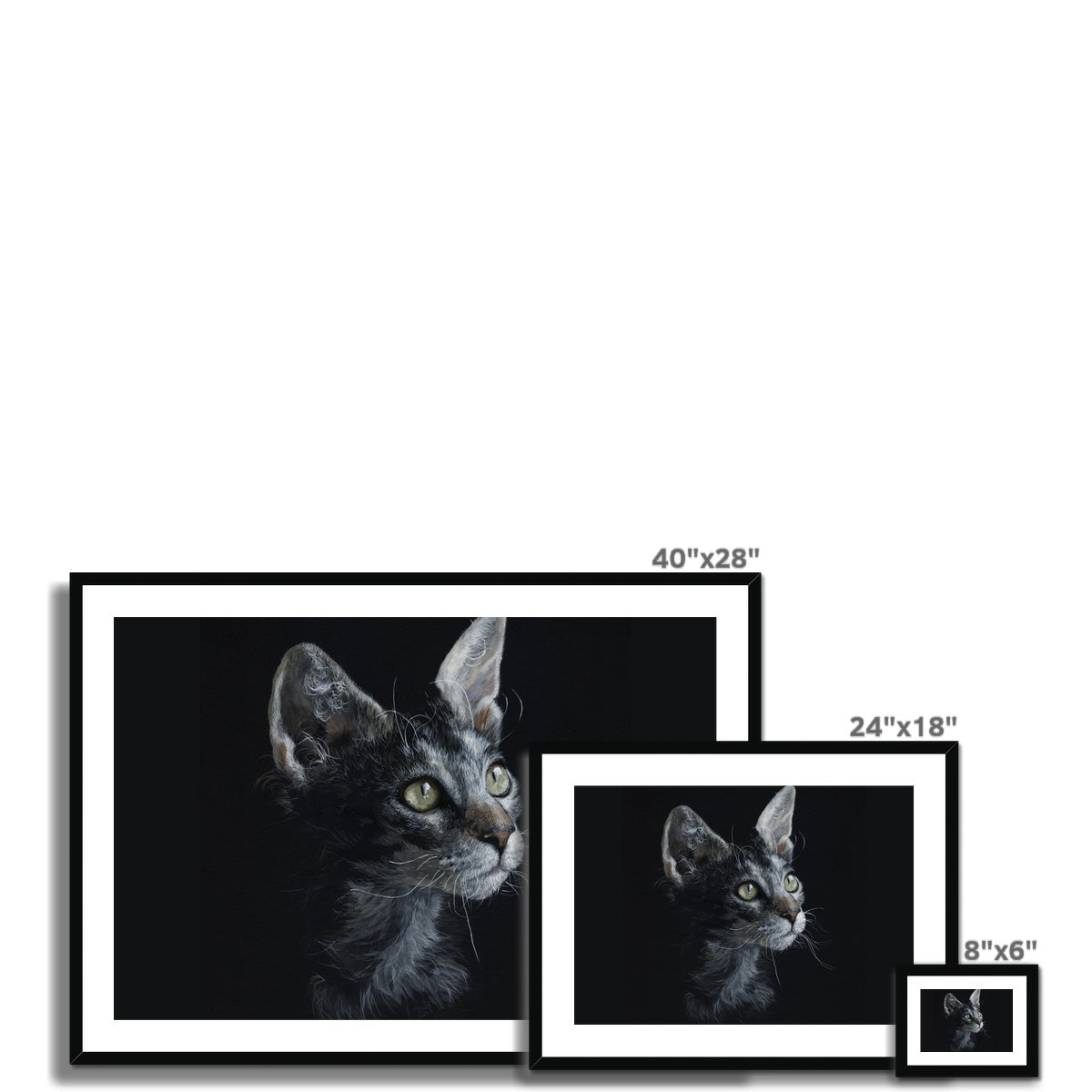 LaPerm Cat Framed & Mounted Print