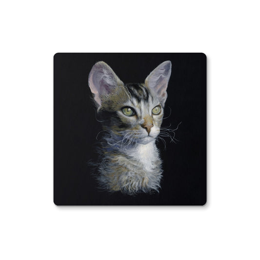 'Young LaPerm' Coaster