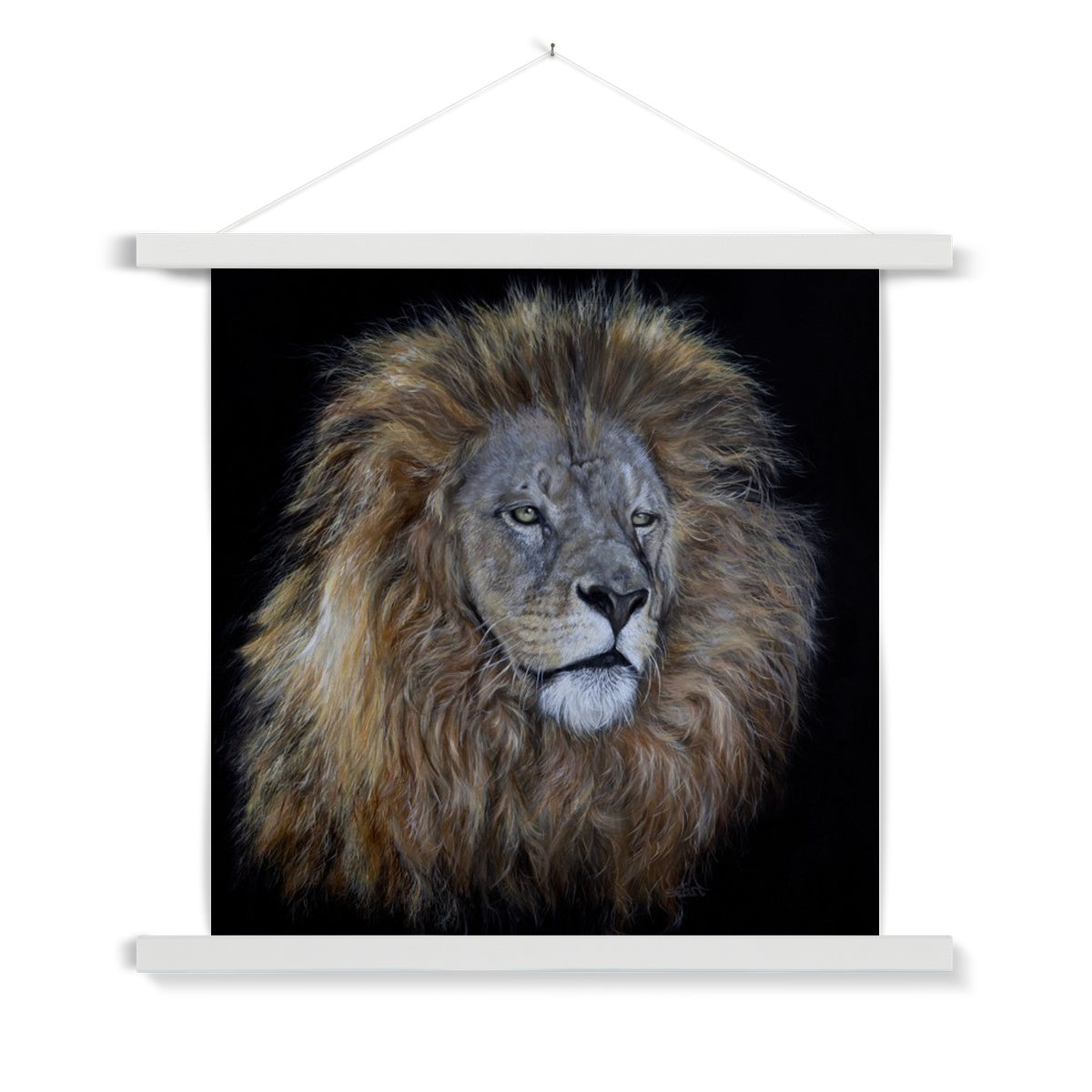 African Lion Fine Art Print with Hanger
