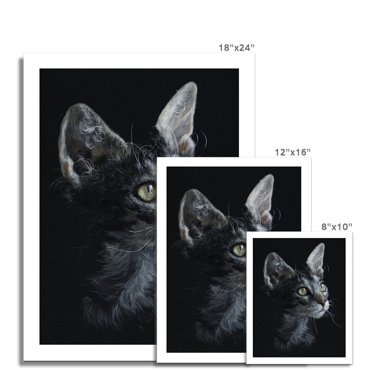 LaPerm Cat Fine Art Print