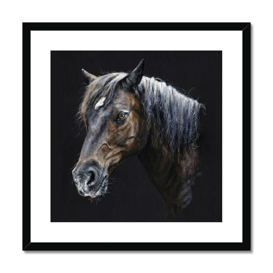 Merlin the Welsh Pony Framed & Mounted Print