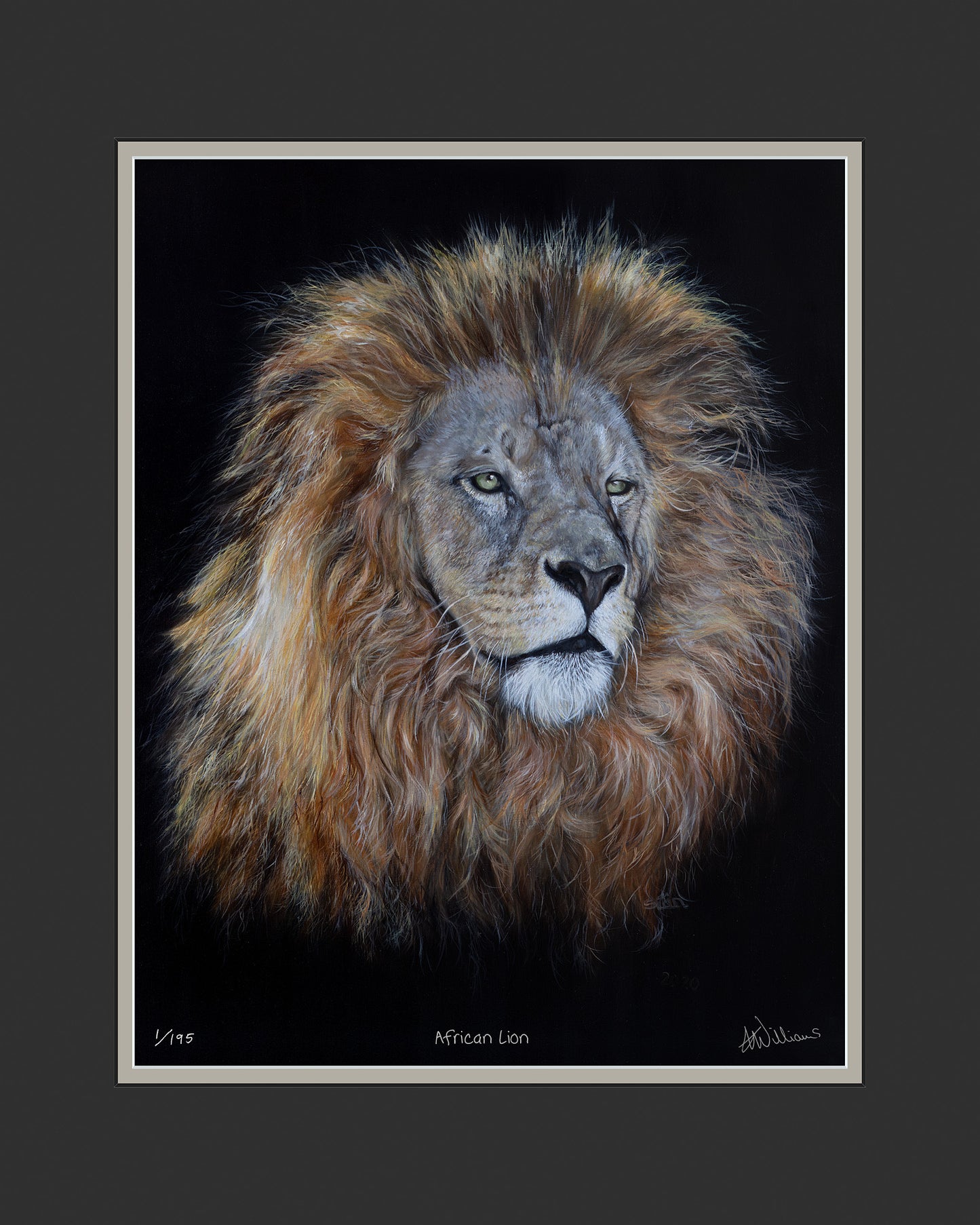 African Lion - limited edition
