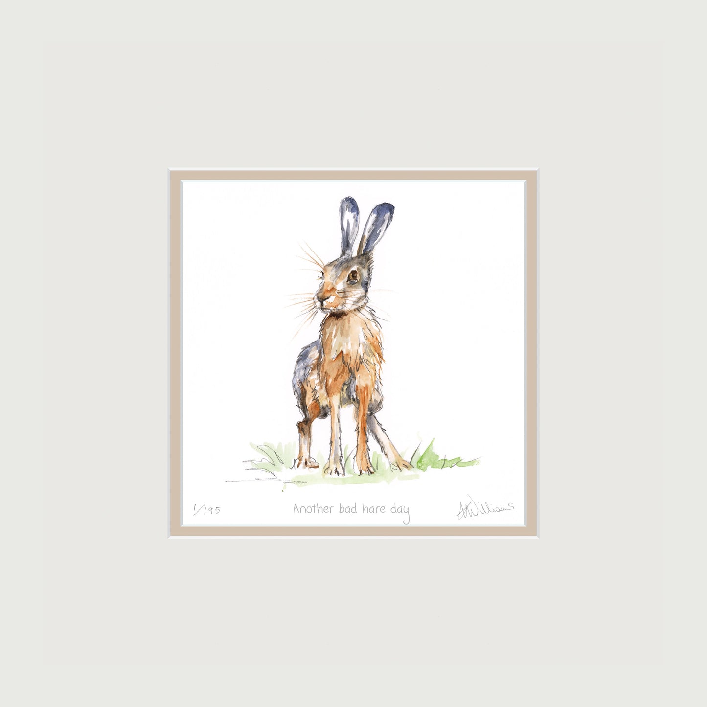 'Another Bad Hare Day' - limited edition