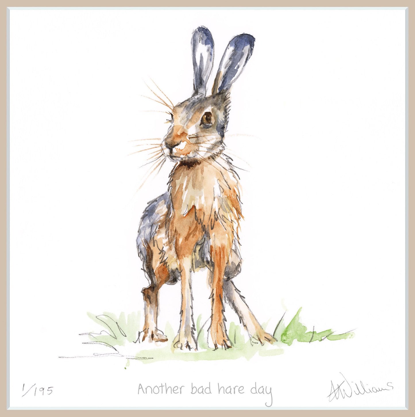 'Another Bad Hare Day' - limited edition