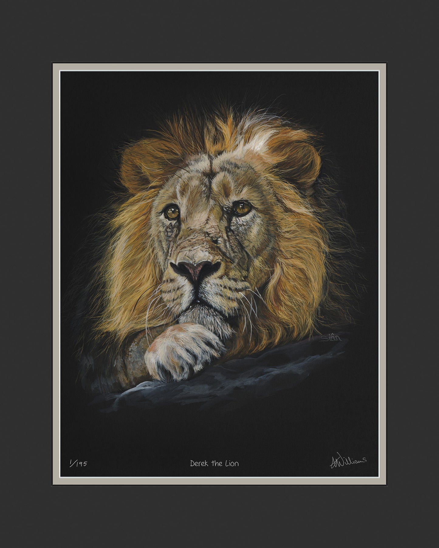 Derek the Lion - limited edition