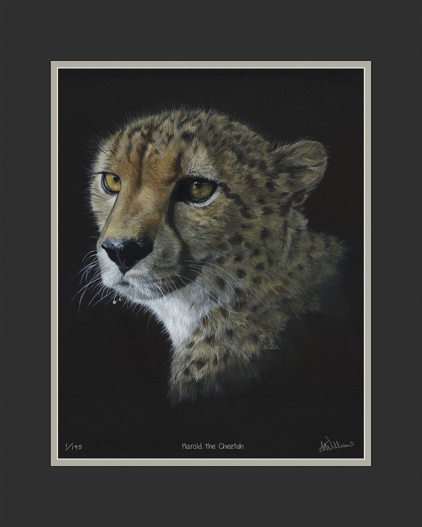 Harold the Cheetah - limited edition