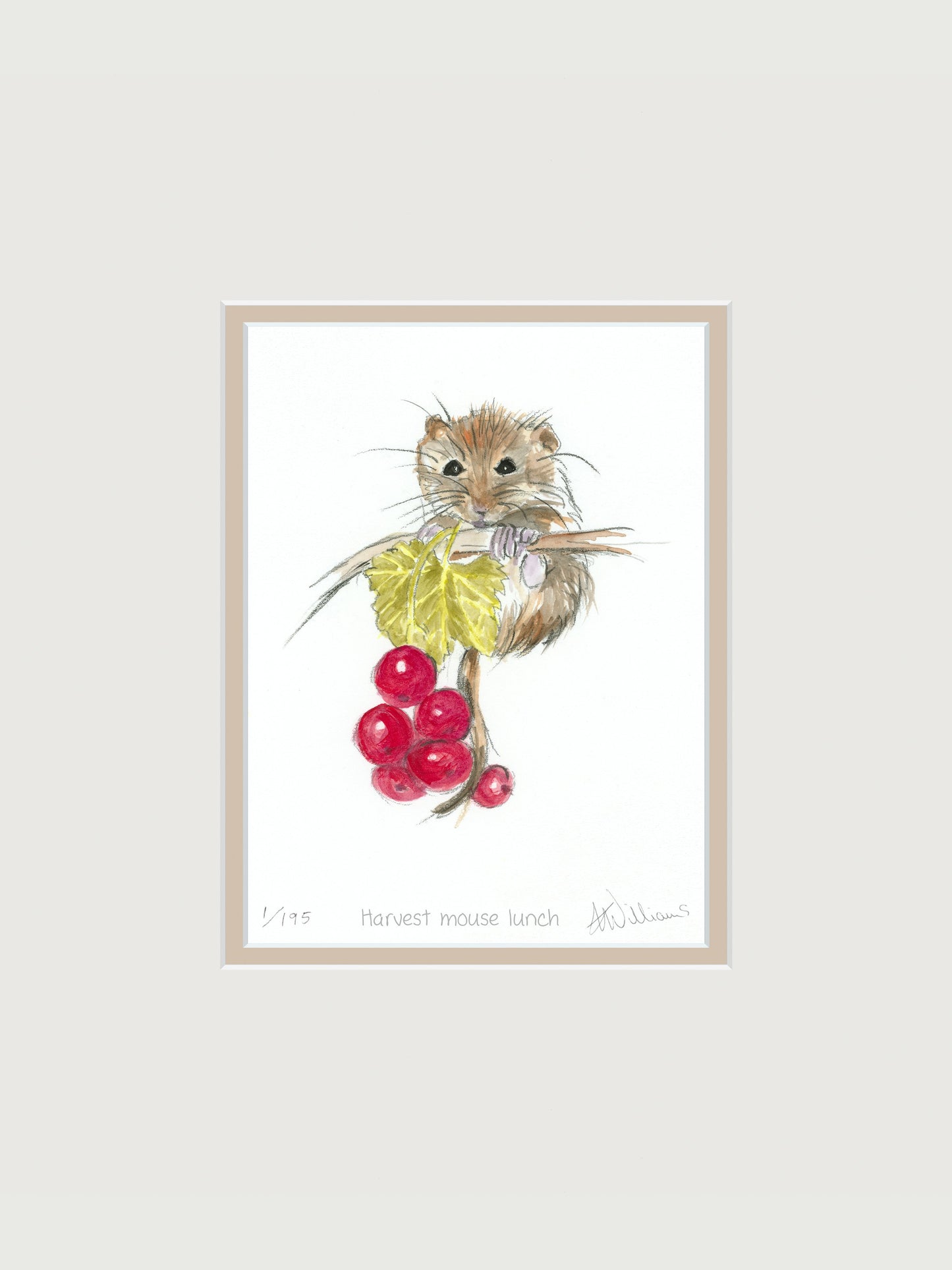 'Harvest mouse lunch' - limited edition