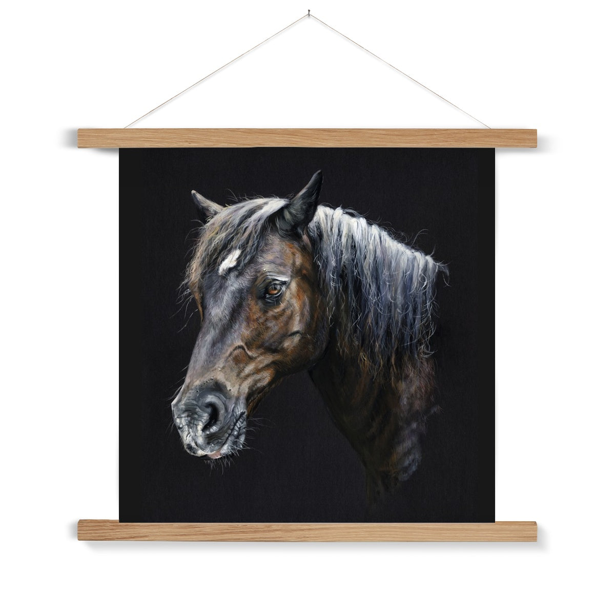 Merlin the Welsh Pony Fine Art Print with Hanger