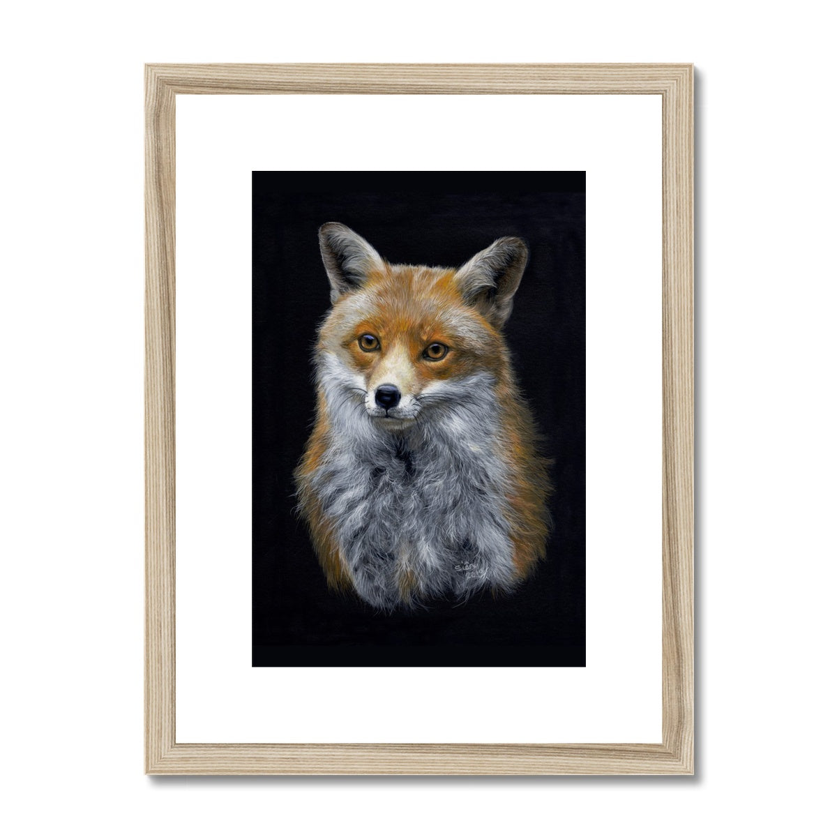 Red Fox Framed & Mounted Print