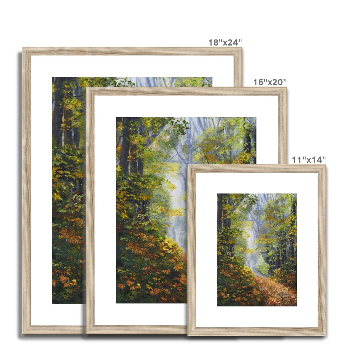 Autumn Woodland Framed & Mounted Print