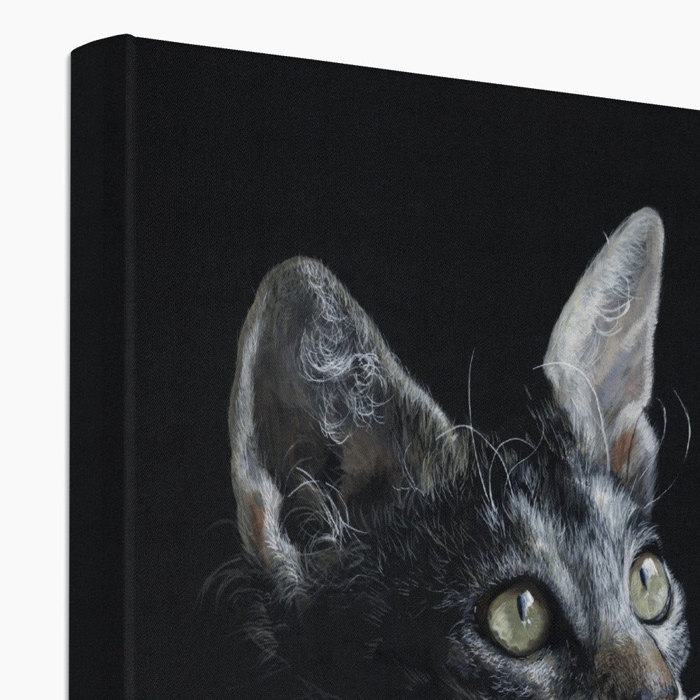 LaPerm Cat Canvas