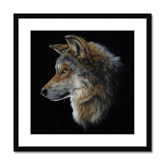 Snow Wolf Framed & Mounted Print