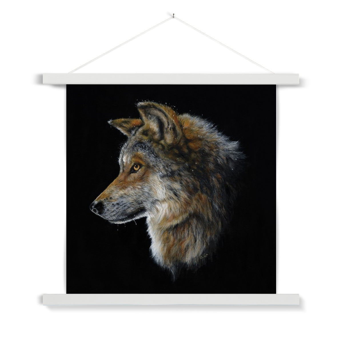 Snow Wolf Fine Art Print with Hanger